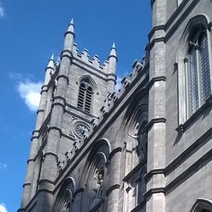 Meet your Posher, Lillian